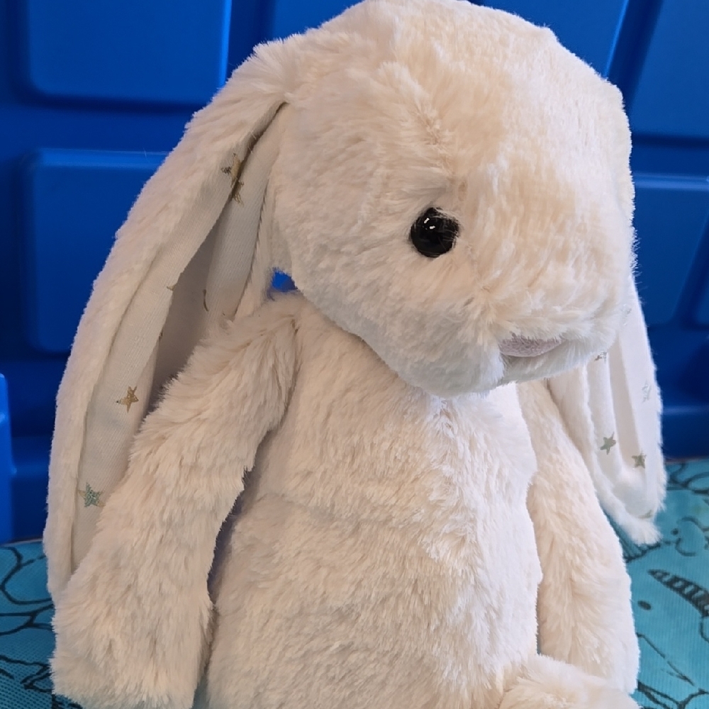 Authentic Jellycat Bashful Twinkle Bunny